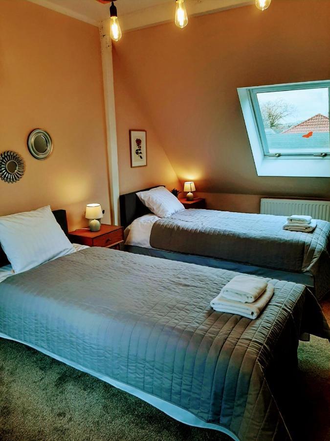 Drzewna Apartamenty - Kupiecka 5 ジェロナ・グラ エクステリア 写真